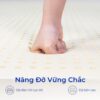 Nệm Cao Su Aroma Ultra 4