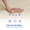 Nệm Cao Su Aroma Ultra 6