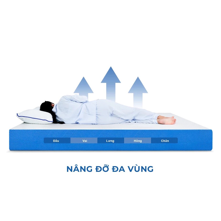 Nâng đỡ đa vùng