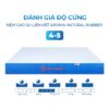 Nệm Cao Su Liên Kết Aroma Natural Rubber 6
