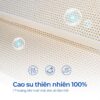 Nệm từ cao su thiên nhiên
