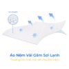 Nệm Foam Aroma Coolfresh Massage 4