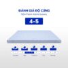 Nệm Foam Aroma Luxury 5