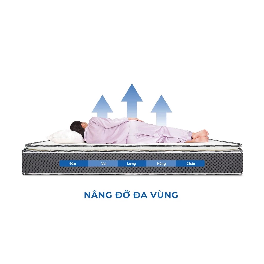 Nâng đỡ đa vùng