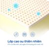 Nệm Lò Xo Túi Aroma Premium Latex 4